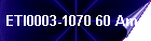 ETI0003-1070 60 Amp